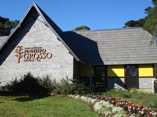 Pinheiro Grosso